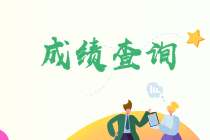 遼寧2021年注會成績查詢時(shí)間速看！