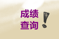 來(lái)了解一下中級(jí)會(huì)計(jì)2021年考試查分時(shí)間！