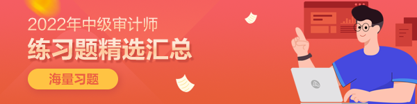 中級審計(jì)師《審計(jì)理論與實(shí)務(wù)》練習(xí)題精選匯總