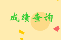 2021年注冊會計師查分入口何時開通？