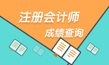 恭喜河南CPA考生 河南CPA成績(jī)查詢(xún)時(shí)間定了！