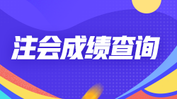 青海2021CPA考試在幾月份查詢成績(jī)？