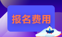湖南省2022年的初級會計(jì)師報(bào)名費(fèi)多少錢？
