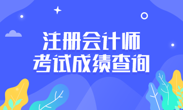 距離天津2021CPA考試查分還有幾天？