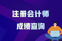 注冊會計師成績查詢?nèi)肟谝验_通 教你快速查成績！