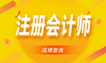 湖南2021年注冊(cè)會(huì)計(jì)考試成績(jī)查詢！
