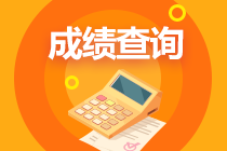 2022年四川省綿陽初級會計報考成績什么時候可以查詢？