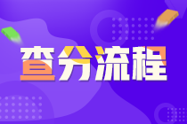 武漢市證券從業(yè)資格考試查分流程？