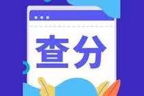 安徽省2022年初級會計考試成績查詢官網(wǎng)是什么？