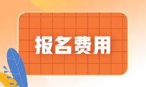 廣東2022年初級(jí)會(huì)計(jì)考試報(bào)名費(fèi)多少淺？