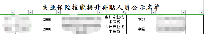 恭喜中級(jí)會(huì)計(jì)考生 拿下證書(shū)可領(lǐng)取千元補(bǔ)貼！