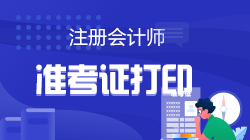2022年注會全國統(tǒng)一考試準(zhǔn)考證打印時間  速來預(yù)約>