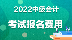 中級(jí)會(huì)計(jì)職稱(chēng)報(bào)名費(fèi)多少錢(qián)上海？
