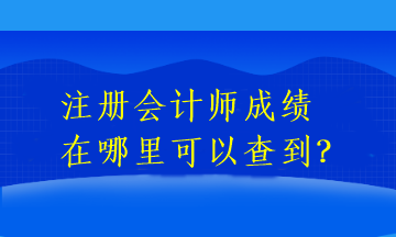 注冊會計師成績在哪里可以查到？