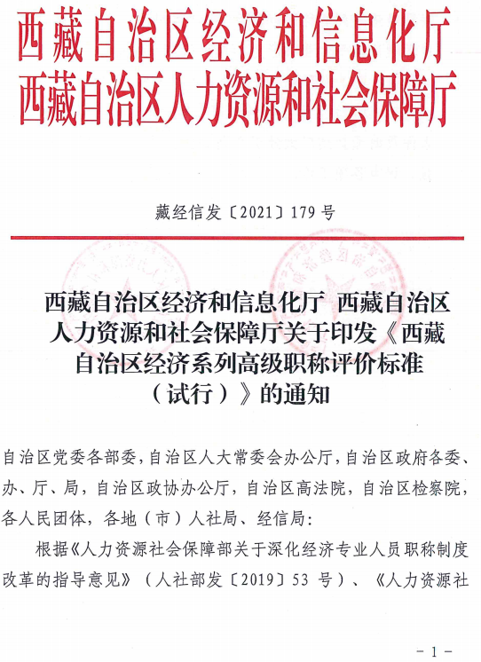西藏高級經(jīng)濟(jì)師評價標(biāo)準(zhǔn)（試行）1