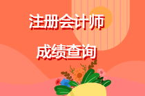 什么時間查詢注冊會計師考試成績？