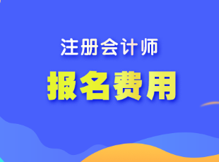 上海市2023年注會(huì)考試報(bào)名費(fèi)用是多少？