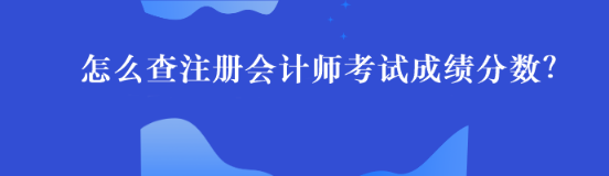 怎么查注冊會計(jì)師考試成績分?jǐn)?shù)？