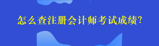 怎么查注冊會計師考試成績？