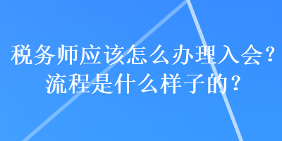 稅務(wù)師應(yīng)該怎么辦理入會(huì)？流程是什么樣子的？