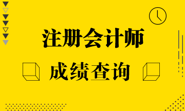注冊會計師成績查詢?nèi)掌谑鞘裁磿r候？