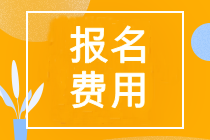 注冊(cè)會(huì)計(jì)師報(bào)名費(fèi)用山東省多少錢？