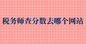 稅務師查分數(shù)去哪個網(wǎng)站