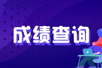 2022年注會考試成績復核結(jié)果在哪可以查到呢？