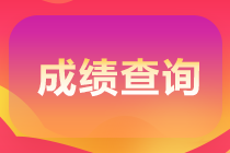 注會考試成績在哪查?。坎樵兞鞒淌鞘裁茨?？