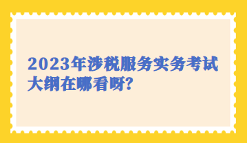 2023年涉稅服務(wù)實(shí)務(wù)考試大綱在哪看呀？