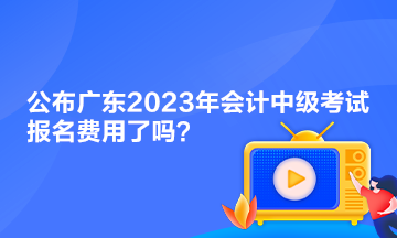 公布廣東2023年會(huì)計(jì)中級(jí)考試報(bào)名費(fèi)用了嗎？