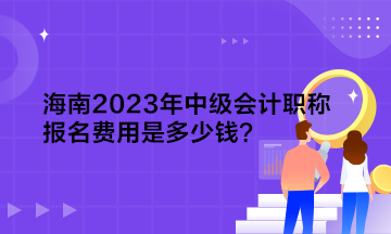 海南2023年中級會計職稱報名費用是多少錢？