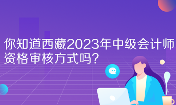 你知道西藏2023年中級會計師資格審核方式嗎？