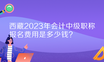 西藏2023年會計中級職稱報名費用是多少錢？