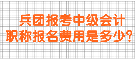 兵團(tuán)報(bào)考中級(jí)會(huì)計(jì)職稱(chēng)報(bào)名費(fèi)用是多少？