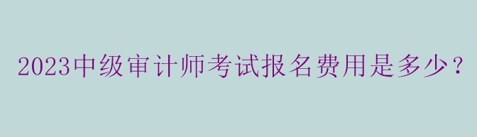 2023中級審計師考試報名費用是多少？