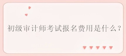 初級(jí)審計(jì)師考試報(bào)名費(fèi)用是什么？