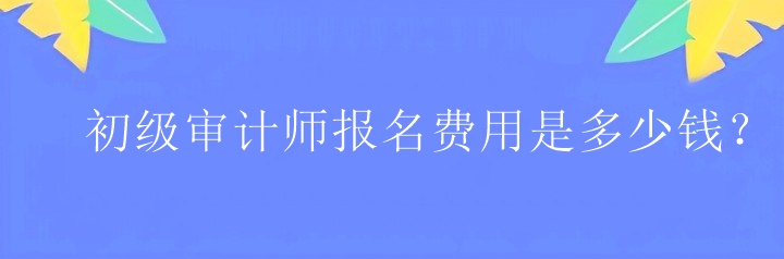 初級(jí)審計(jì)師報(bào)名費(fèi)用是多少錢(qián)？
