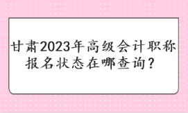 甘肅2023年高級(jí)會(huì)計(jì)職稱報(bào)名狀態(tài)在哪查詢？
