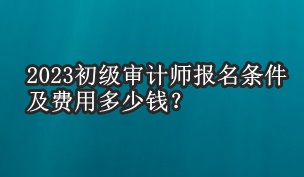 2023初級審計師報名條件及費用多少錢？