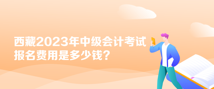 西藏2023年中級會計(jì)考試報(bào)名費(fèi)用是多少錢？