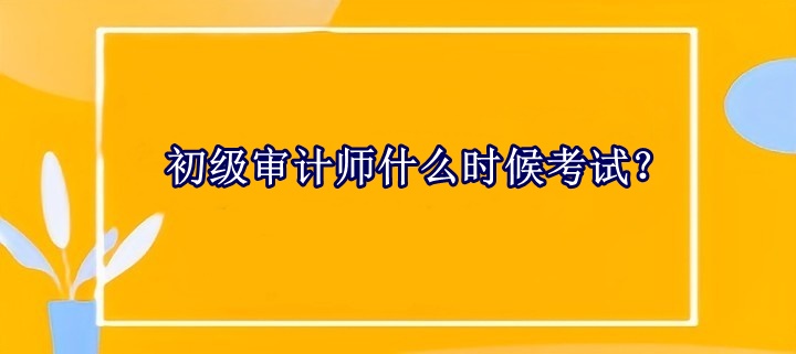 初級審計師什么時候考試？