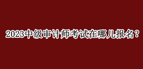2023中級(jí)審計(jì)師考試在哪兒報(bào)名？