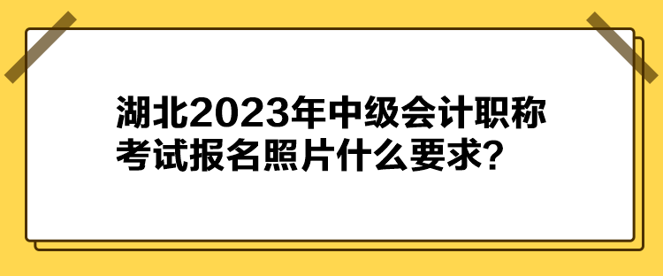 湖北2023年中級會計職稱考試報名照片什么要求？