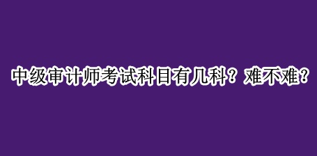 中級(jí)審計(jì)師考試科目有幾科？難不難？