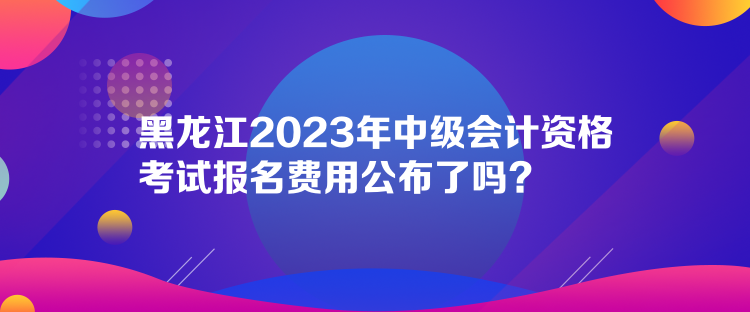 黑龍江2023年中級會計資格考試報名費用公布了嗎？