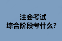 注會考試綜合階段考什么？
