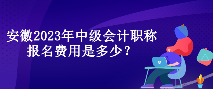 安徽2023年中級(jí)會(huì)計(jì)職稱(chēng)報(bào)名費(fèi)用是多少？