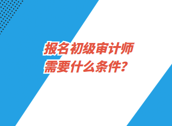 報名初級審計師需要什么條件？