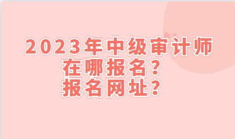 2023年中級審計(jì)師在哪報(bào)名？報(bào)名網(wǎng)址？